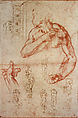 Study for a Putto and for the Right Hand of the Libyan Sibyl in the Sistine Ceiling; Sketches for the Tomb of Julius II (recto); Studies of a Man's Left Leg (verso), Michelangelo Buonarroti (Italian, Caprese 1475–1564 Rome), Red chalk; pen and brown ink (recto); pen and black ink over portions in black chalk (verso)
